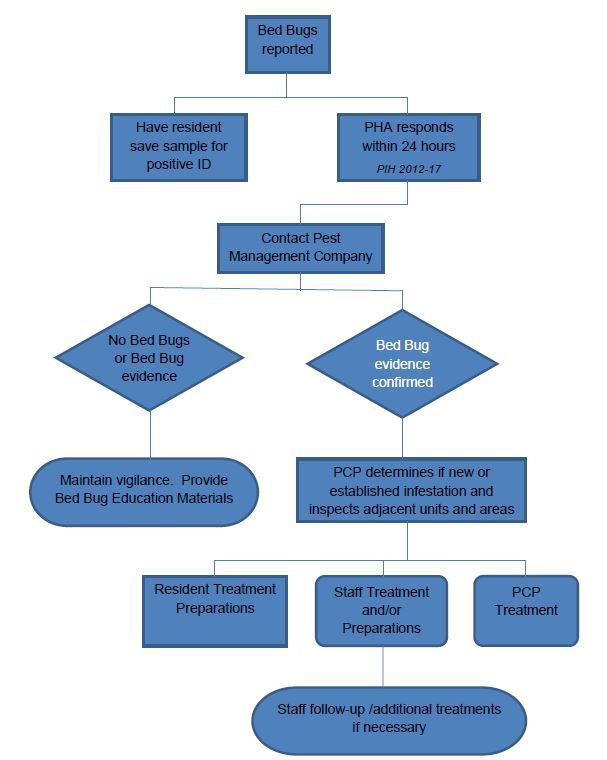 Bedbug Action Plan Flowchart 