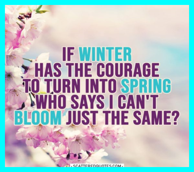 Cherry blossoms background image with 'If winter has the courage to turn into spring who says I can't bloom just the same?